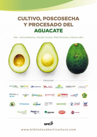 precio-del-aguacate-en-mexico