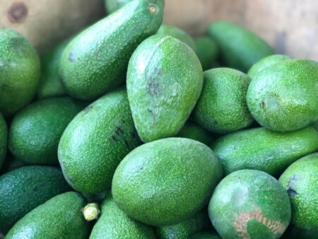 precio-del-aguacate-mexico